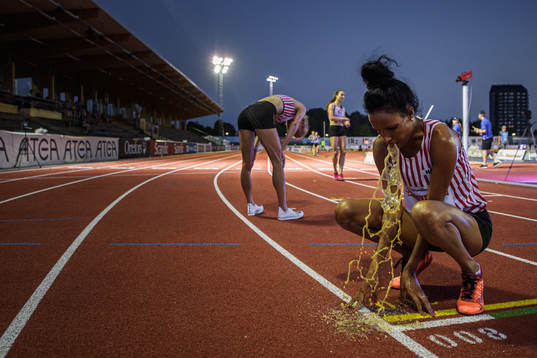 This picture is part of Bildbyrån’s selection of the