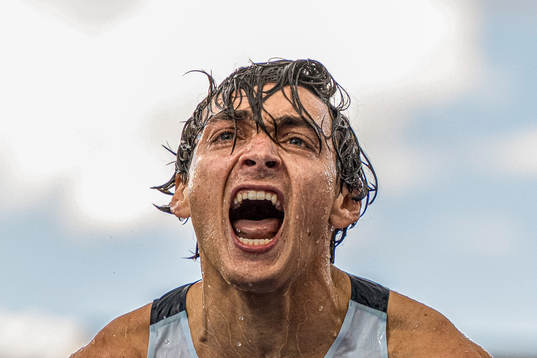 This picture is part of Bildbyrån’s selection of best