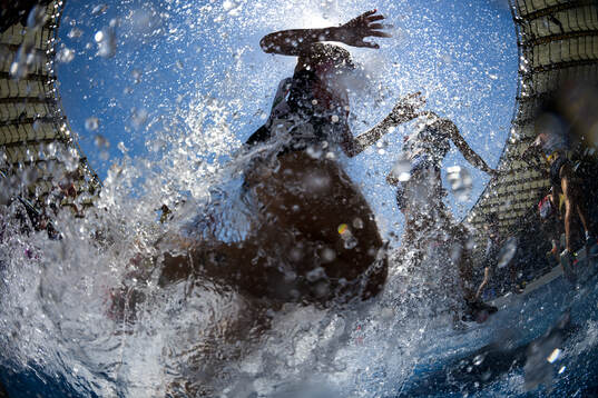 This picture is part of Bildbyrån’s selection of best