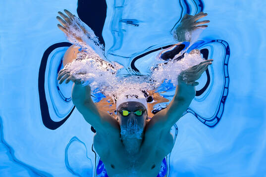 This picture is part of Bildbyrån’s selection of best