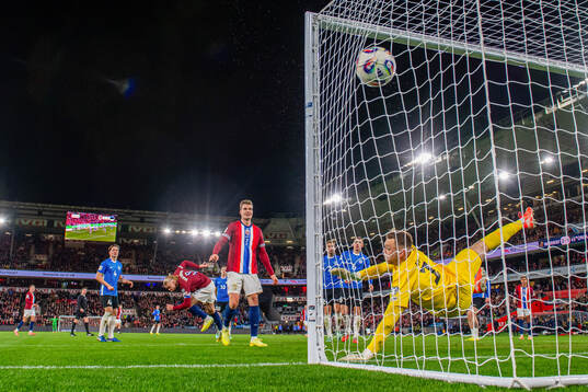 This picture is part of Bildbyrån’s selection of best